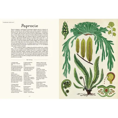 Botanicum. Muzeum Ro�lin