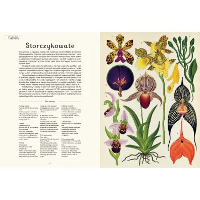 Botanicum. Muzeum Ro�lin