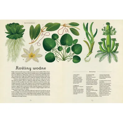 Botanicum. Muzeum Ro�lin
