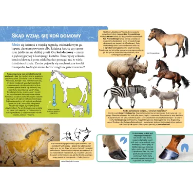 Ma�a encyklopedia. Konie