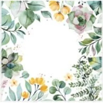 Serwetka papierowa 3warstwowa 33x33 Floral op20szt POL-MAK SL OG60706