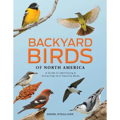 Backyard Birds of North America - Daniel O Sullivan