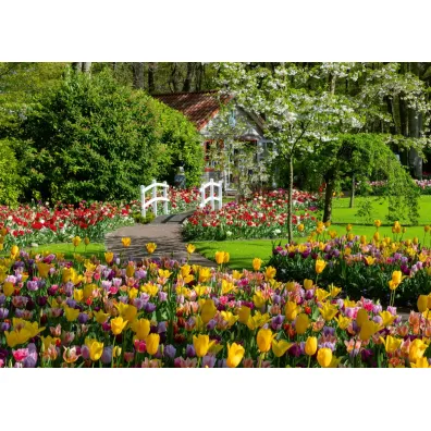 Puzzle 1000 el. Ogrody Keukenhof Ravensburger