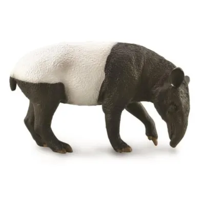 Malayan Tapir