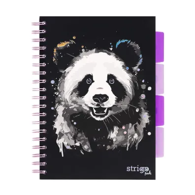 Strigo Ko�ozeszyt Pads B5 Panda linia 100 kartek
