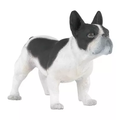Buldog francuski