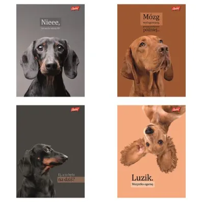 St. Majewski Zeszyt A5 60 kartek linia. Ok�adka laminowana lakier miejscowy UV 70 g/m2. Doggy Moods
