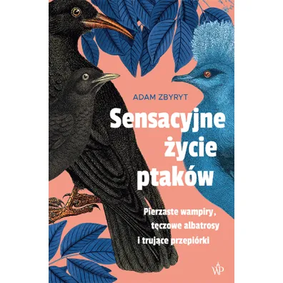 Sensacyjne �ycie ptak�w - Adam  Zbyryt