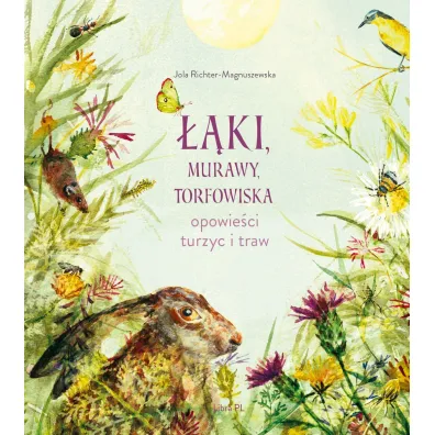 ��ki, murawy, torfowiska. Opowie�ci turzyc i traw - Jolanta  Richter-Magnuszewska