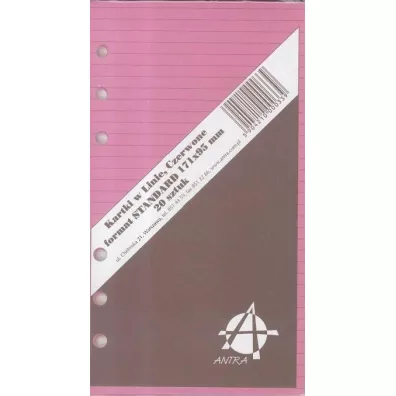 Antra Wk�ad do organizera Standard linia