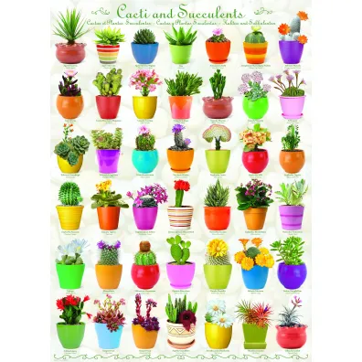 Puzzle 1000 el. Cacti & Succulents Eurographics