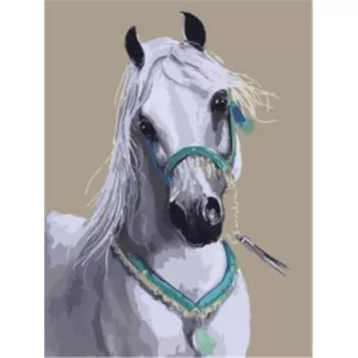 Norimpex Malowanie po numerach. Ko biay arab 40 x 50 cm