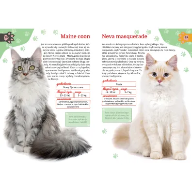 M�j kot