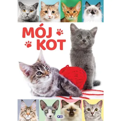 M�j kot