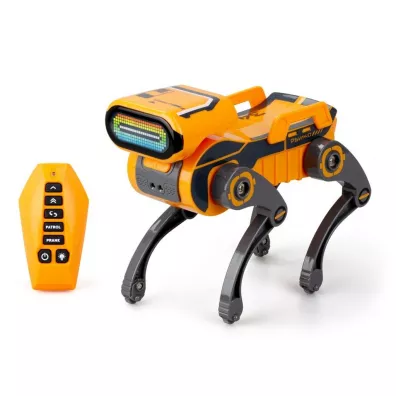 Robo Express pomara�czowy Silverlit