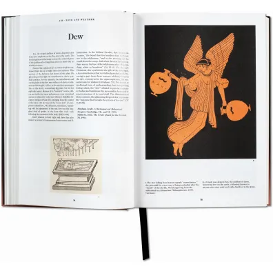 The Book of Symbols. Reflections on Archetypal Images wer. angielska