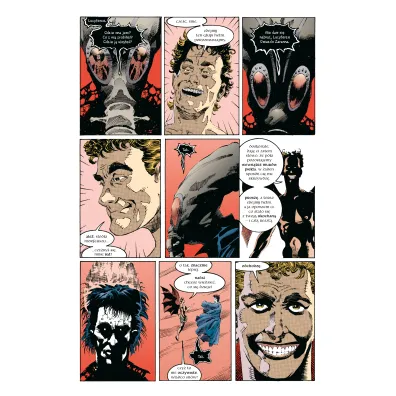 DC Black Label Pora mgie�. Sandman. Tom 4