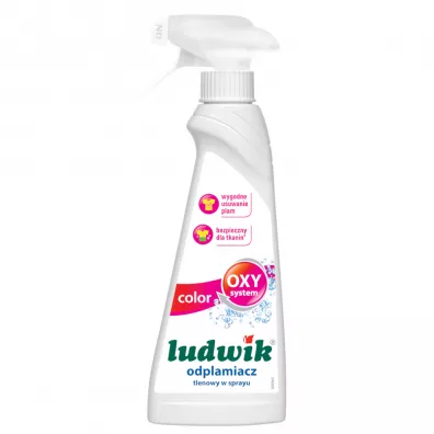 Ludwik Odplamiacz tlenowy w piance do tkanin kolorowych Color 250 ml