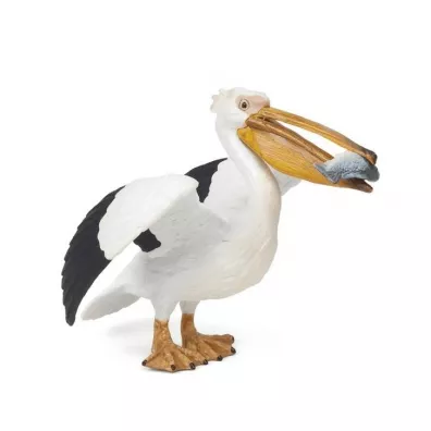 Pelikan