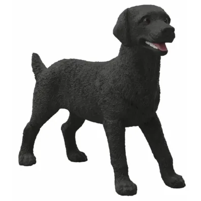 SLH czarny labrador suczka 14923 16413