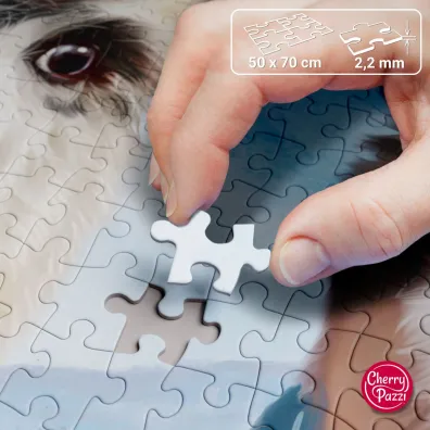 Puzzle 1000 el. Friends Forever CherryPazzi