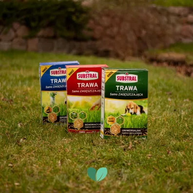 Substral Mieszanka nasion Trawa samozagszczajca do renowacji trawnika 1 kg