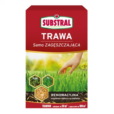 Substral Mieszanka nasion Trawa samozagszczajca do renowacji trawnika 1 kg