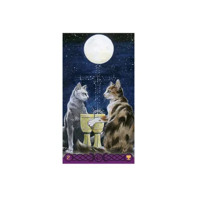 Tarot Pogaskich Kotw, Tarot of Pagan Cats