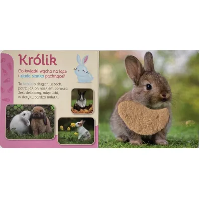 Pupile. Przytul mnie