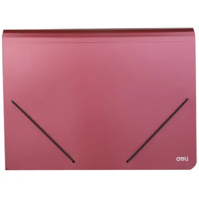 Deli Teczka A4 z gumk� 13-przegr�dek 1szt.mix