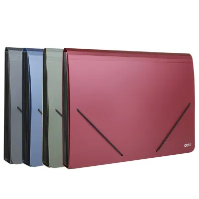 Deli Teczka A4 z gumk� 13-przegr�dek 1szt.mix