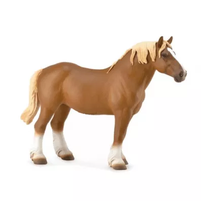 Ogier Belgian Mare gniady