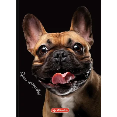 Herlitz Brulion A6 Crazy Animal kratka 80 kartek