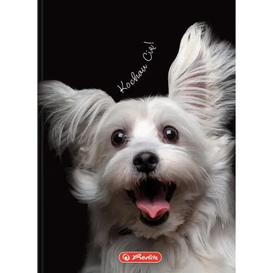 Herlitz Brulion A6 Crazy Animal kratka 80 kartek