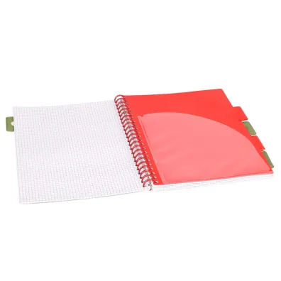 Strigo Ko�ozeszyt Pads A4 Tropiki Papuga kratka 100 kartek