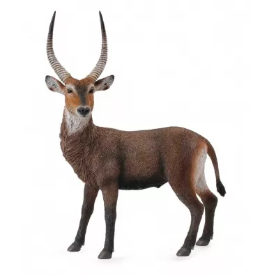 Antylopa Waterbuck