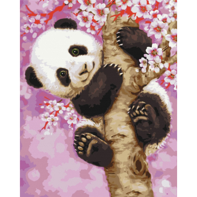 Symag Malowanie po numerach. Paint it! Panda na drzewie wini 40 x 50 cm