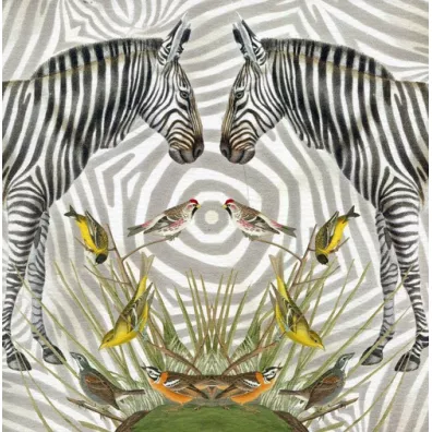 Museums & Galleries Karnet kwadrat z kopert� Zebra