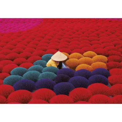 Puzzle 1000 el. Wietnamskie kadzid�a Educa
