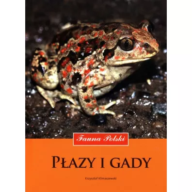 P�azy i gady. Fauna Polski - Krzysztof Klimaszewski