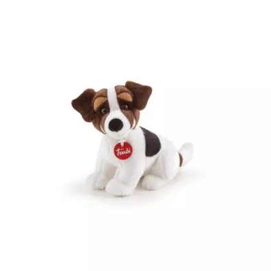 Jack Russel S Trudi