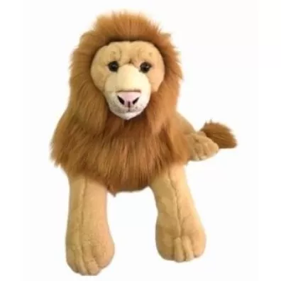 Lew 60cm Dubi