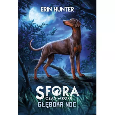 G��boka noc. Sfora. Czas mroku. Tom 2 - Erin Hunter