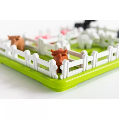 Smart Games. Smart Farmer (ENG) IUVI Games