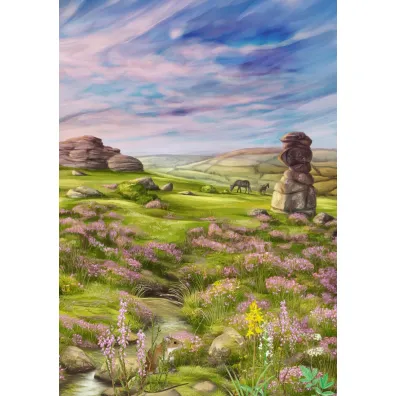 Le�ne rozdanie: Dartmoor Rebel