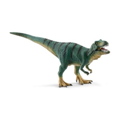Młody Tyranozaur