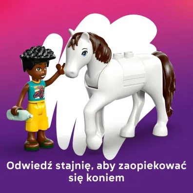LEGO Friends Lecznica dla zwierz�t 42696