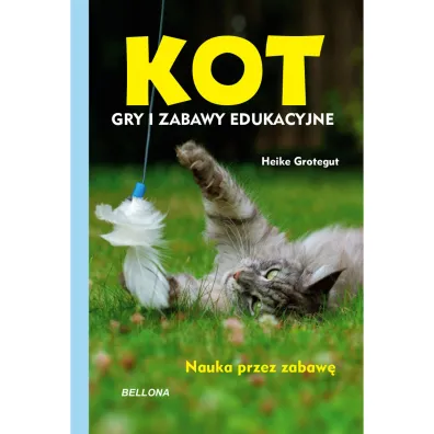 Kot. Gry i zabawy edukacyjne - Heike Grotegut