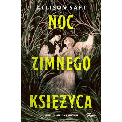 Noc Zimnego Ksi�yca - Allison  Saft