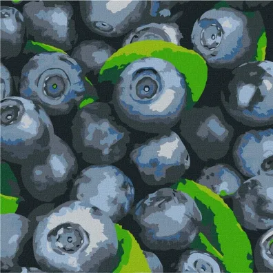 Ideyka Malowanie po numerach - Soczysta bor�wka 25x25cm